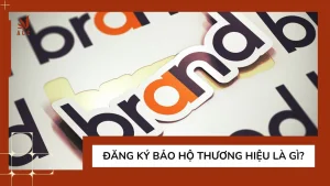 dang-ky-bao-ho-thuong-hieu-la-gi
