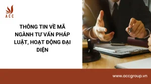 thong-tin-ve-ma-nganh-tu-van-phap-luat-hoat-dong-dai-dien