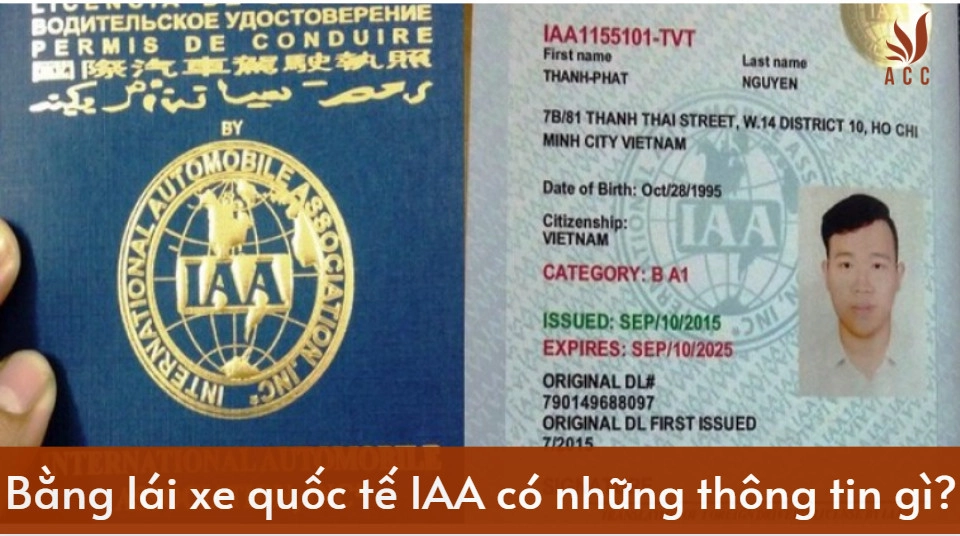 Bằng lái xe quốc tế IAA có những thông tin gì?