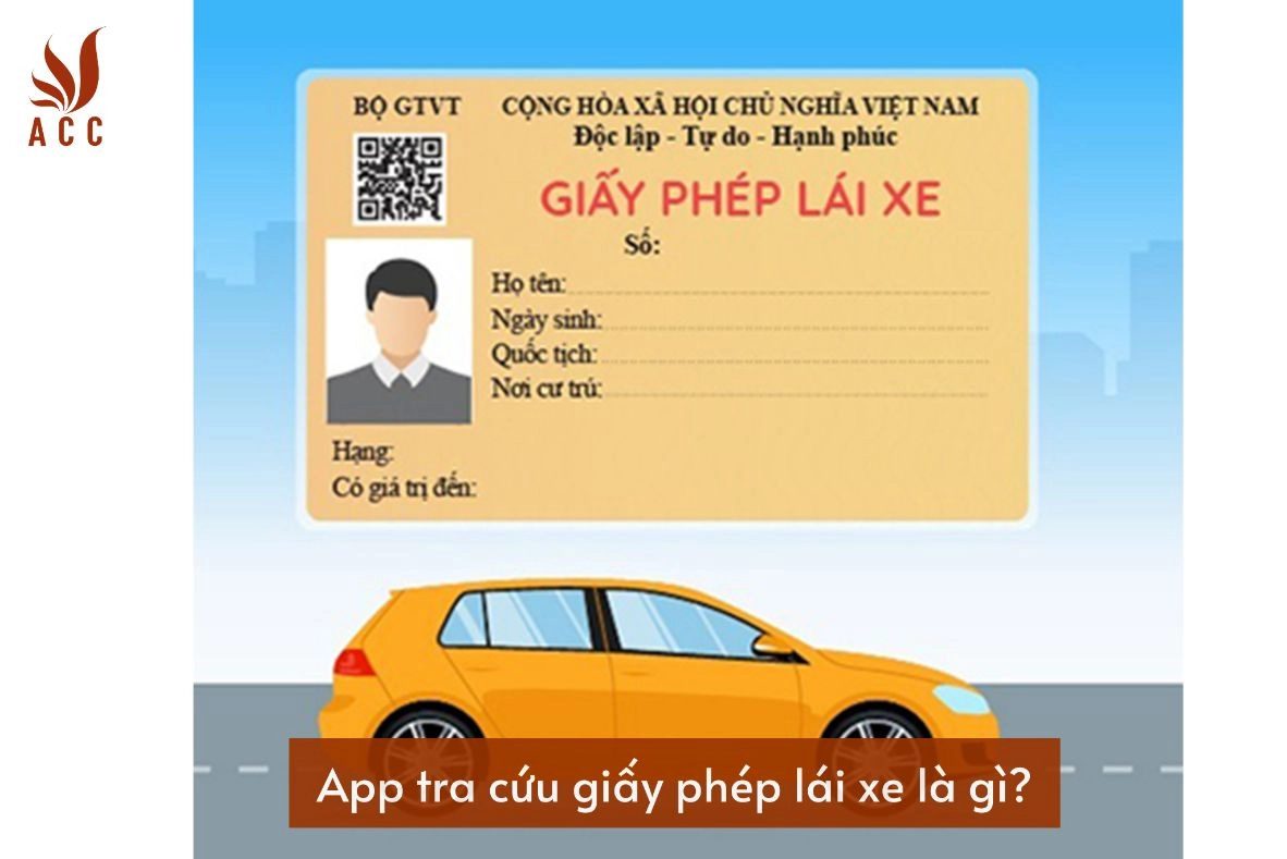 app-tra-cuu-giay-phep-lai-xe-la-gi