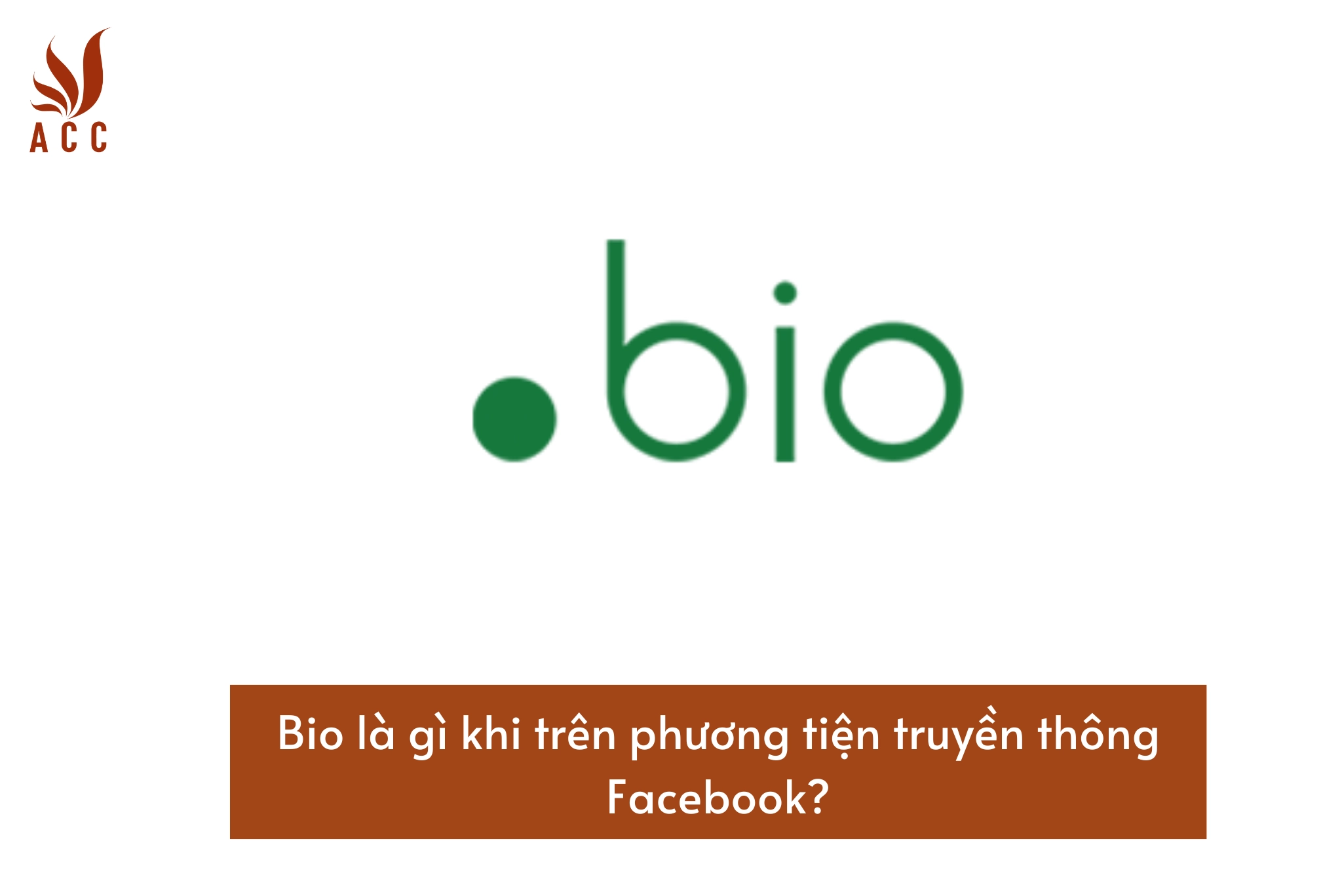 bio-la-gi-khi-tren-phuong-tien-truyen-thong-facebook