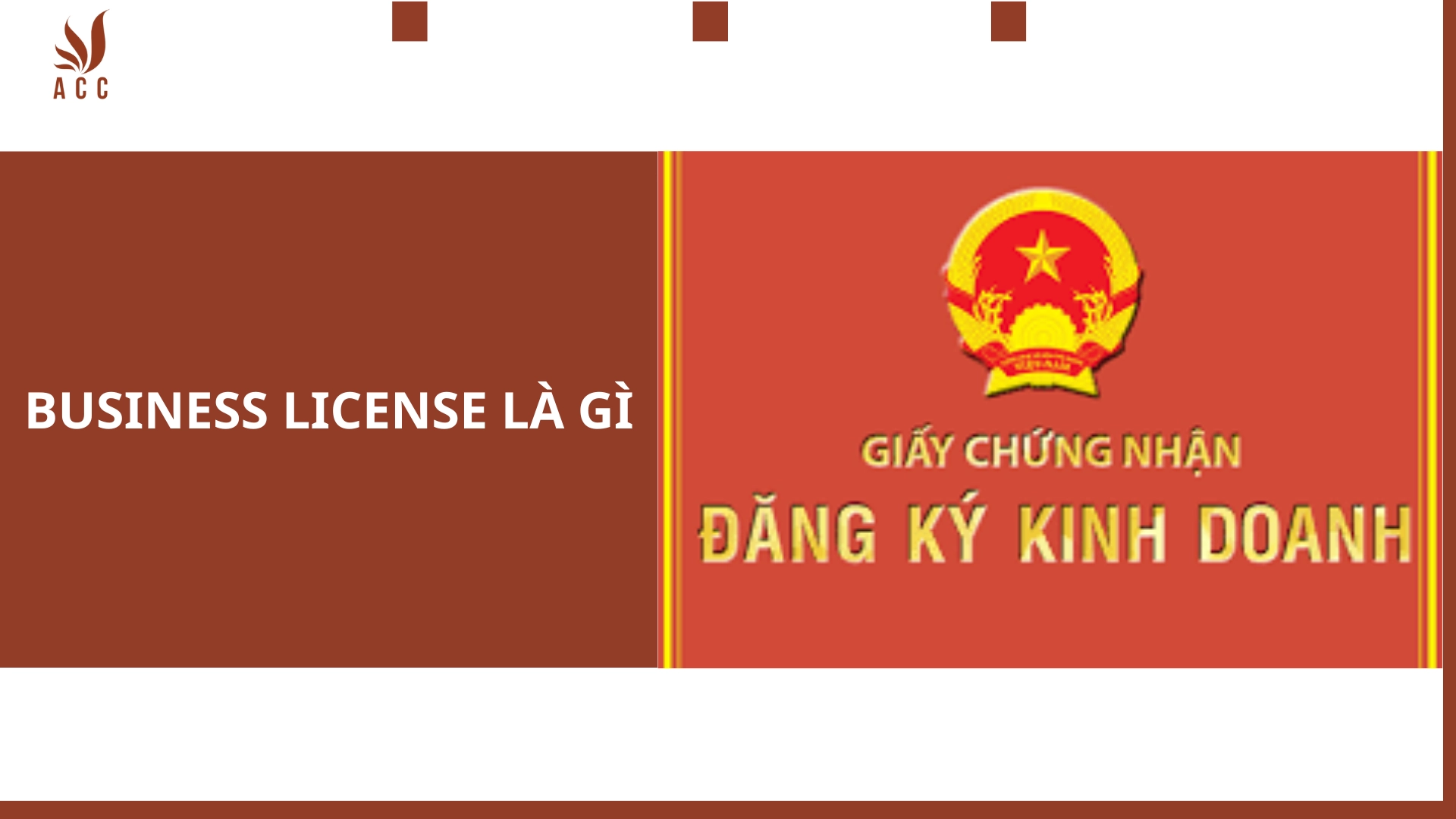 business-license-la-gi