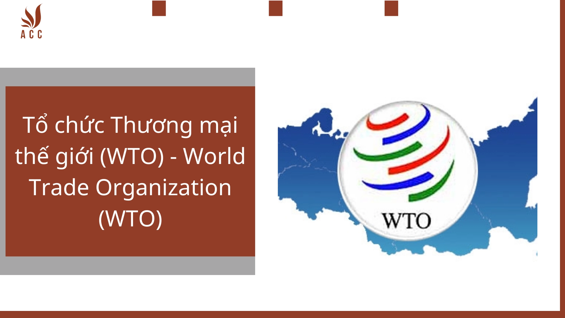 Tổ chức Thương mại thế giới (WTO) - World Trade Organization (WTO)