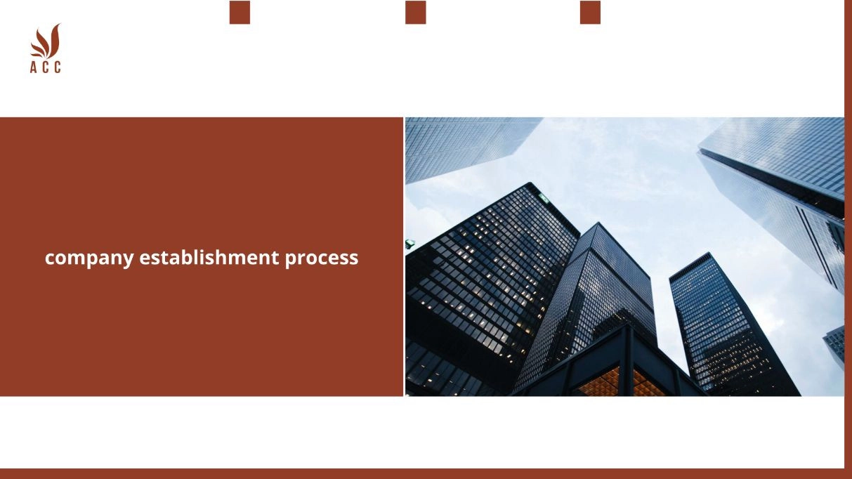 company-establishment-process