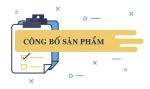 ho-so-cong-bo-san-pham-1