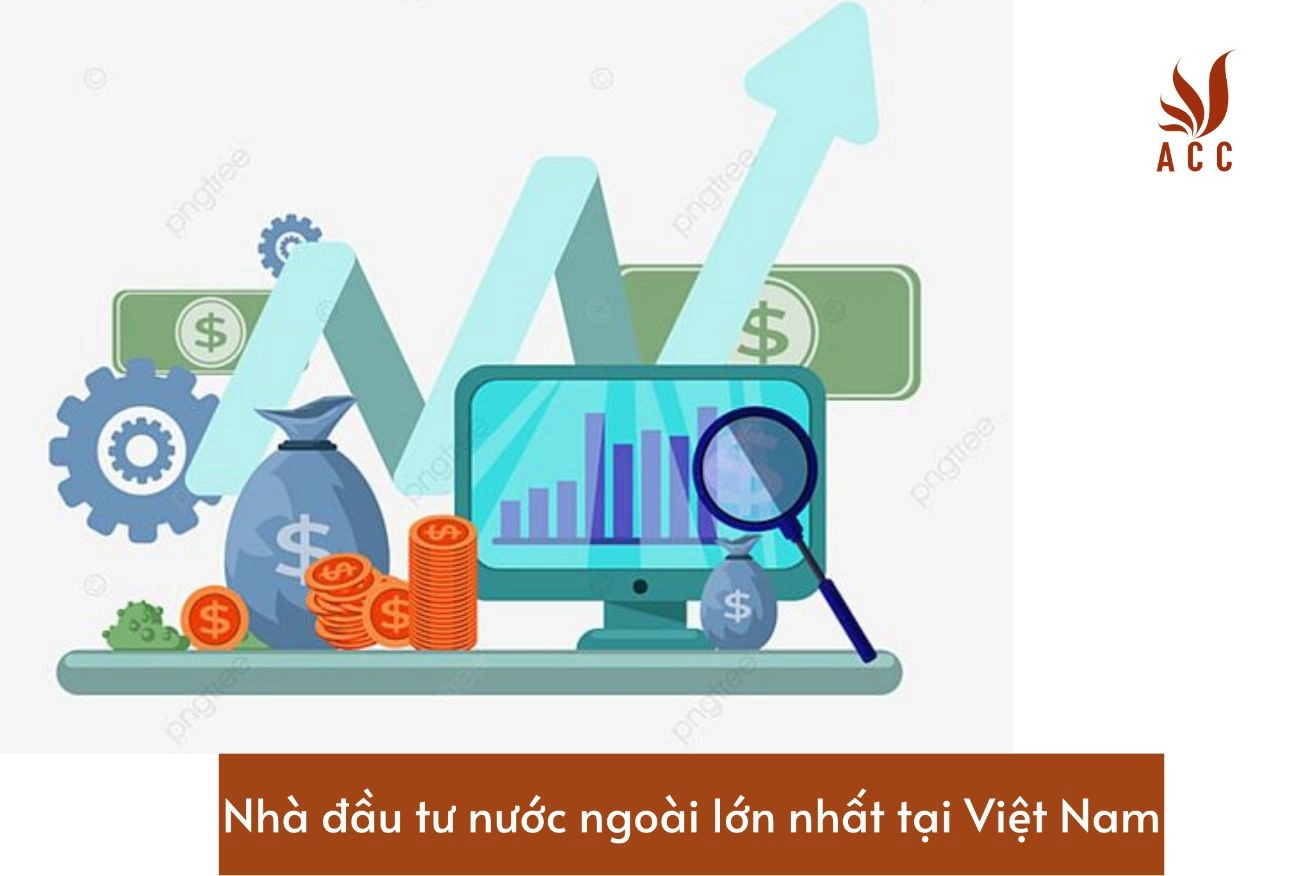 nha-dau-tu-nuoc-ngoai-lon-nhat-tai-viet-nam