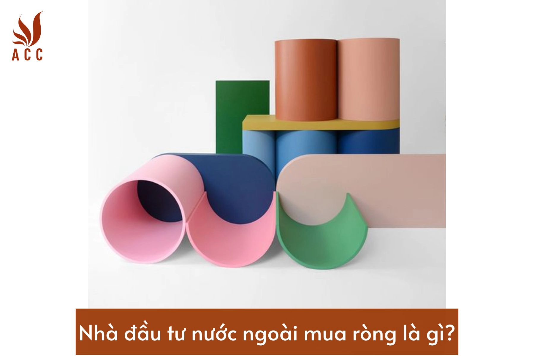 nha-dau-tu-nuoc-ngoai-mua-rong-la-gi