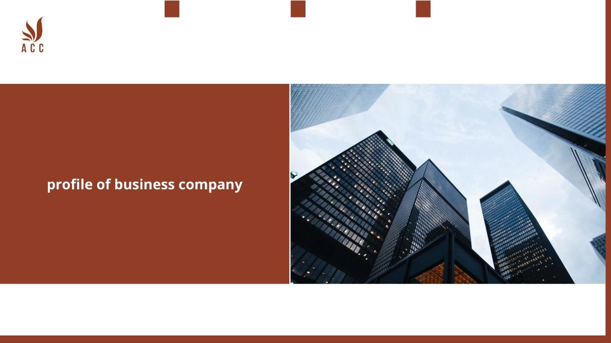 profile-of-business-company