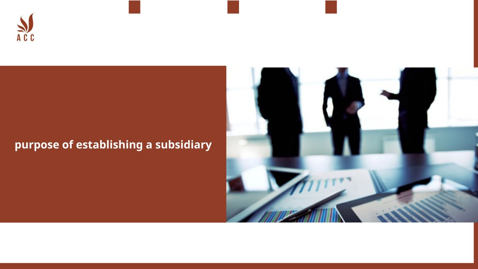 purpose-of-establishing-a-subsidiary
