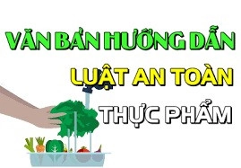 Tìm hiểu về nghị định hướng dẫn luật an toàn thực phẩm