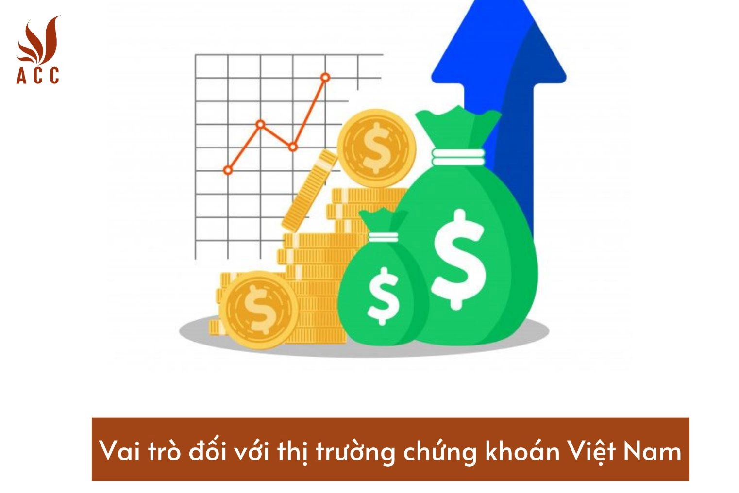 vai-tro-doi-voi-thi-truong-chung-khoan-viet-na