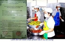 Quy định về bản cam kết an toàn thực phẩm [Mới nhất 2023]