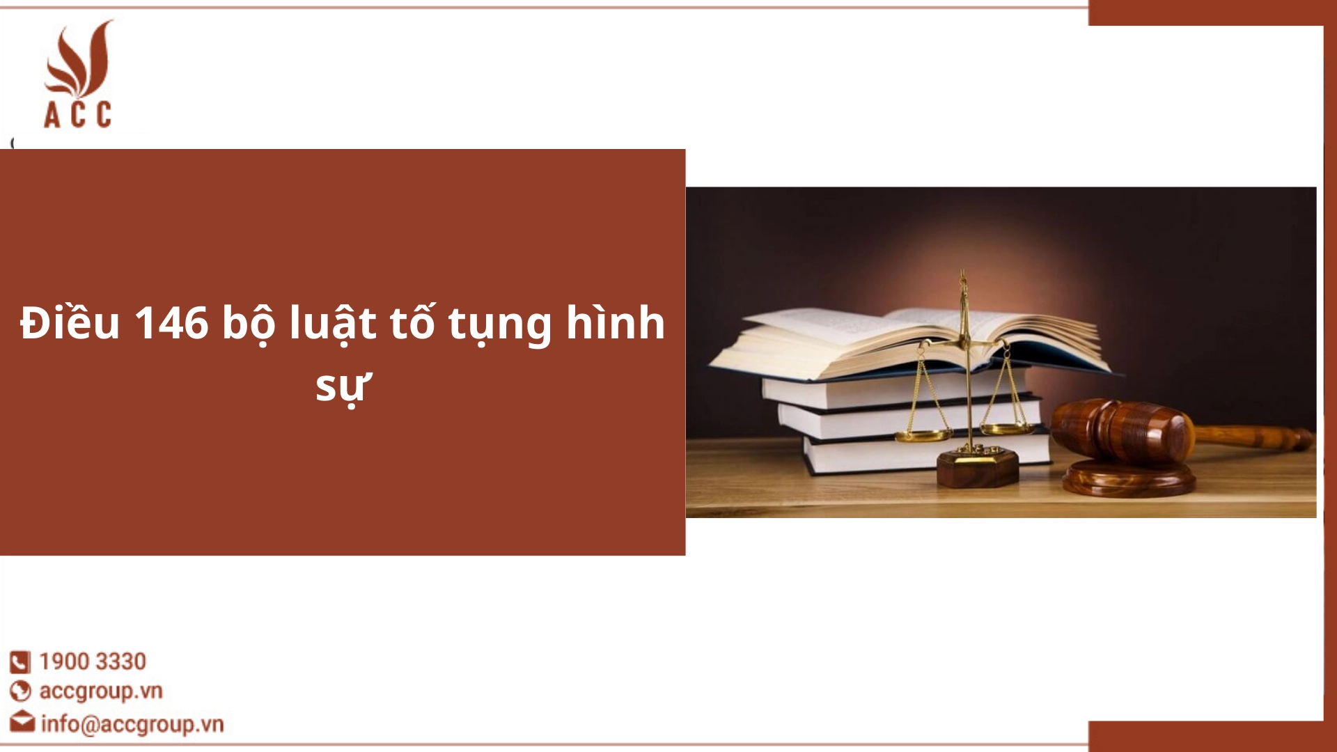 điều 146 bộ luật tố tụng hình sự