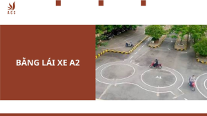 a2-2