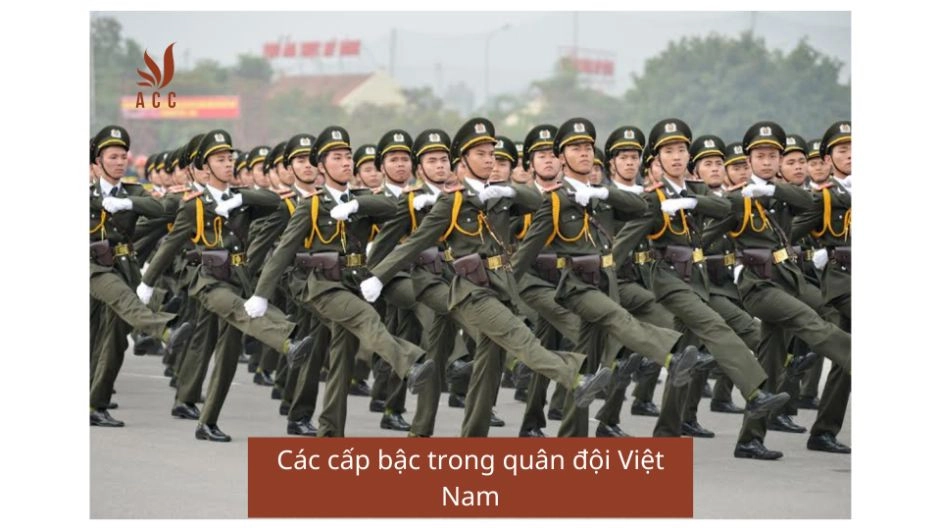 Các cấp bậc trong quân đội Việt Nam