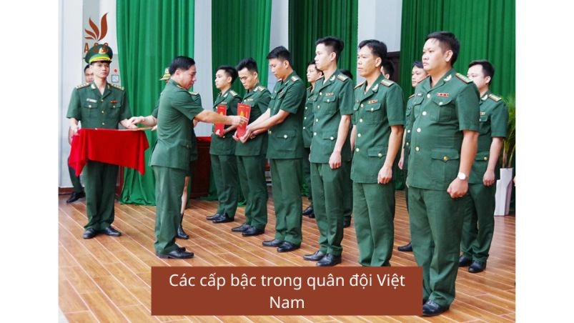 Các cấp bậc trong quân đội Việt Nam