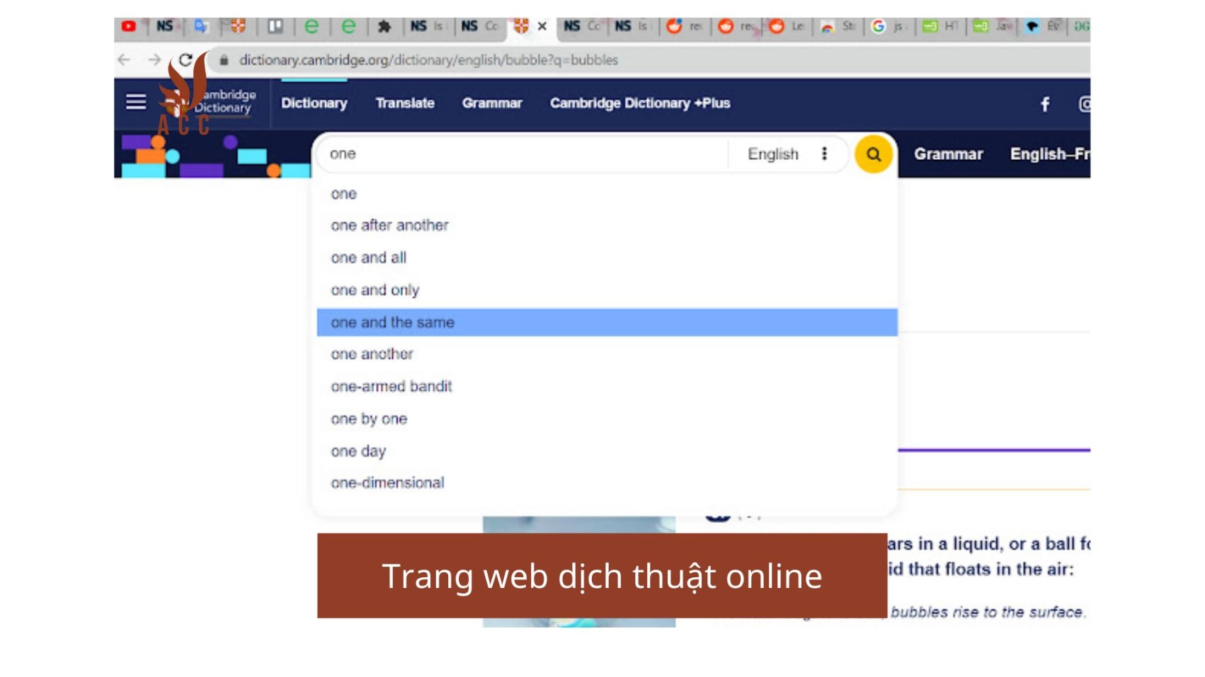 Trang web dịch thuật online