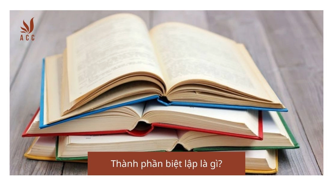 Thành phần biệt lập là gì?