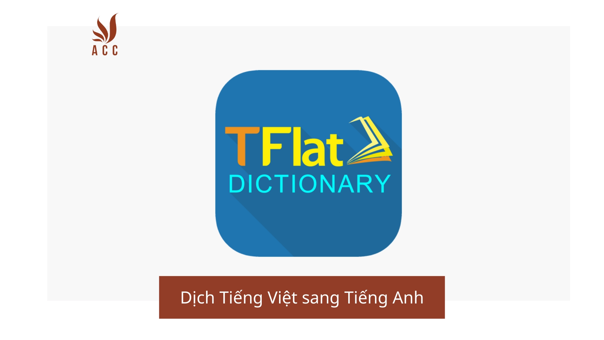 Dịch Tiếng Việt sang Tiếng Anh
