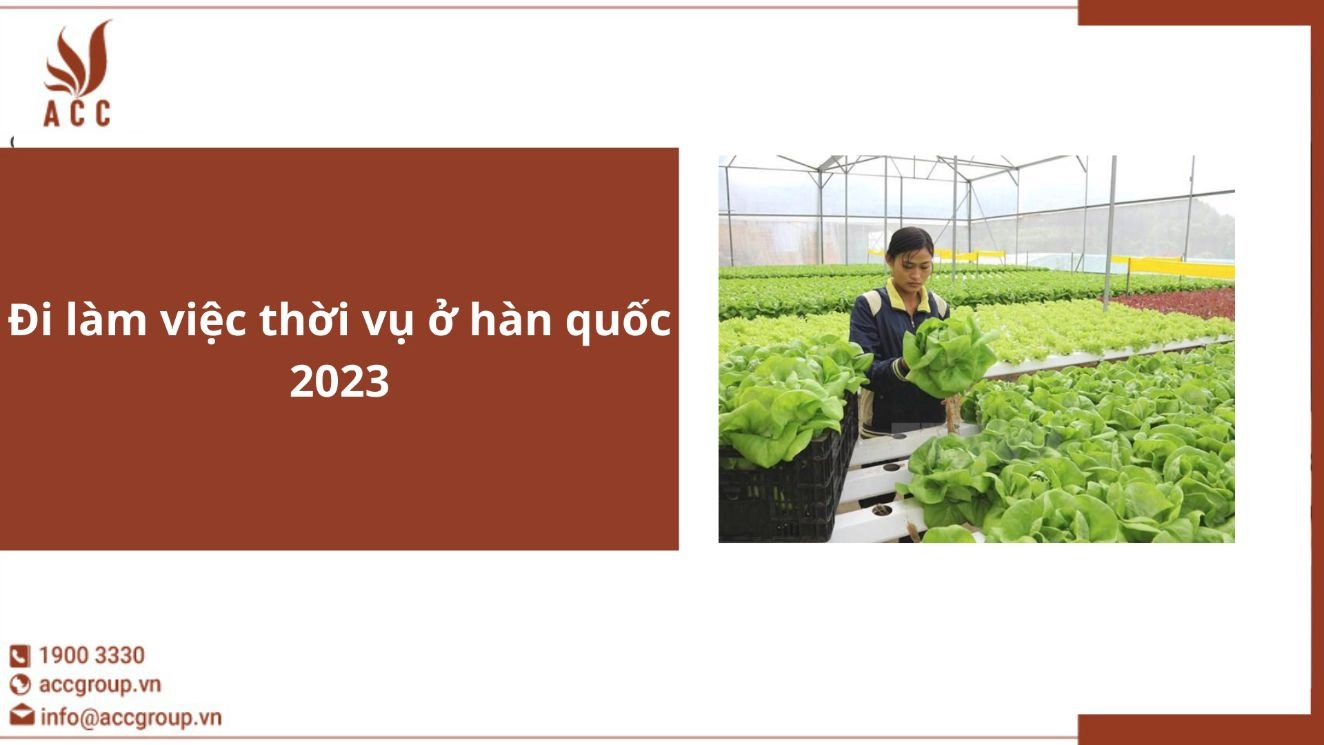 Đi làm việc thời vụ ở hàn quốc 2023