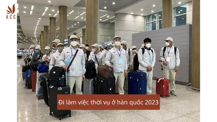 Đi làm việc thời vụ ở hàn quốc 2023