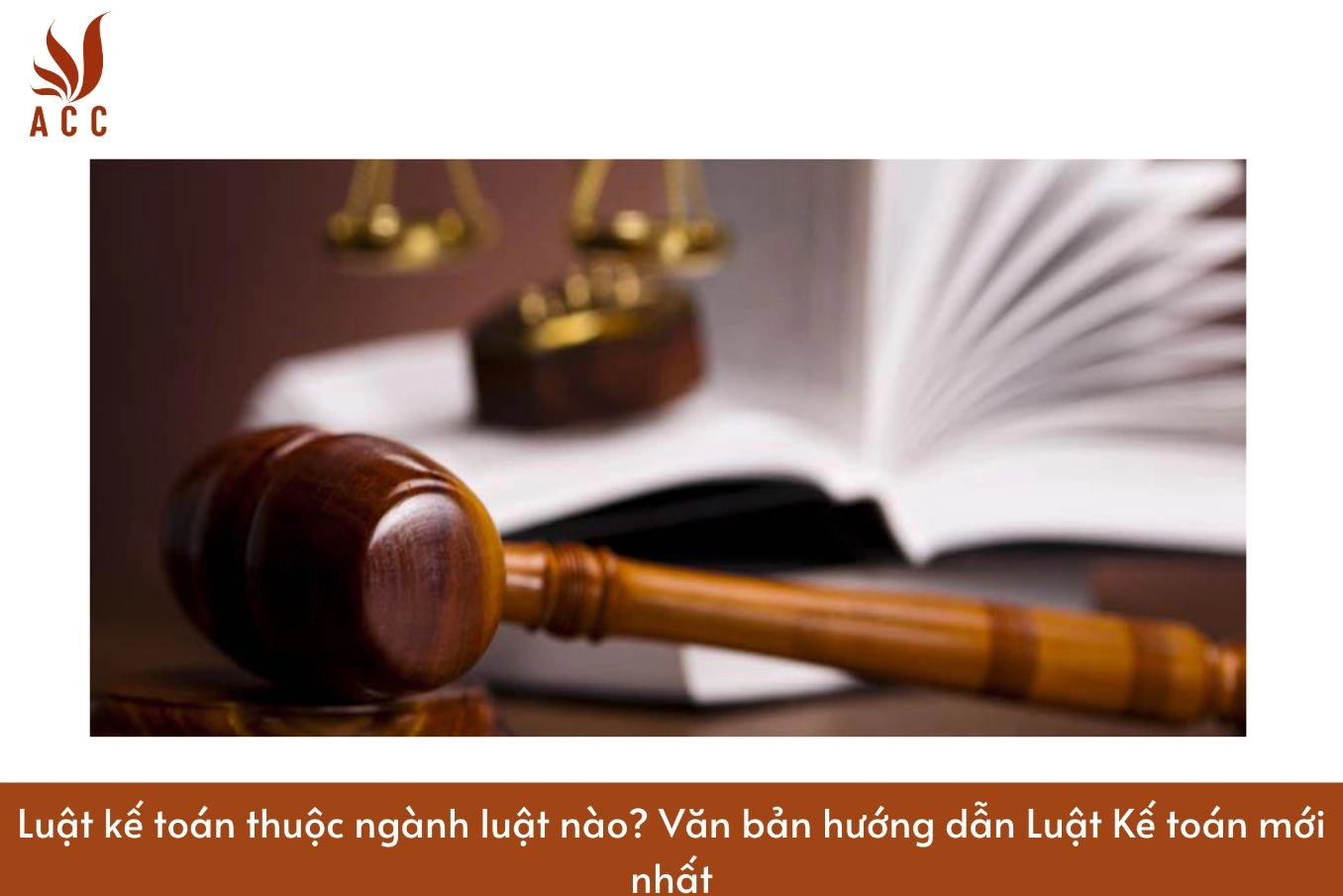 Luật kế toán thuộc ngành luật nào? Văn bản hướng dẫn Luật Kế toán mới nhất