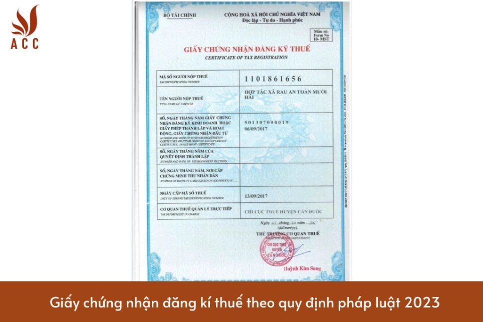 Giấy chứng nhận đăng kí thuế theo quy định pháp luật 2023