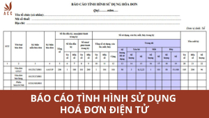 bao-cao-tinh-hinh-su-dung-hoa-don-dien-tu