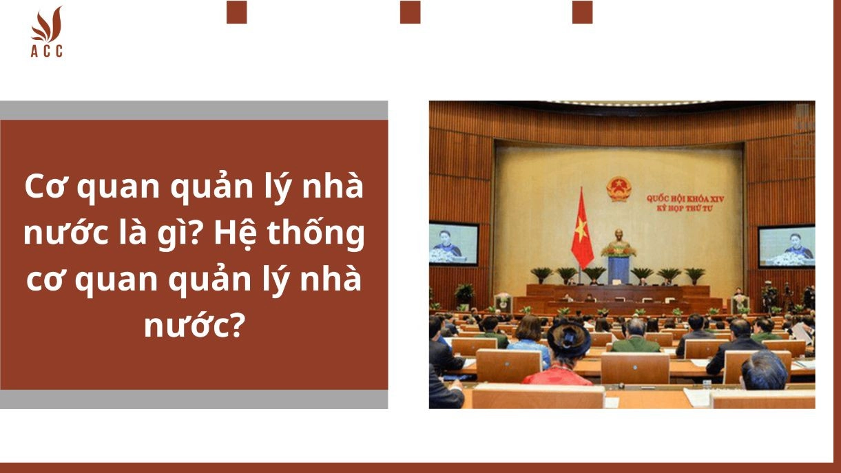 Cơ quan quản lý nhà nước là gì? Hệ thống cơ quan quản lý nhà nước?