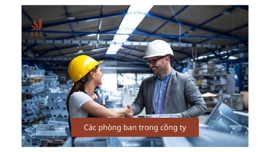 Các phòng ban trong công ty