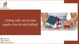 chong-mat-vo-co-toan-quyen-chia-tai-san-khong