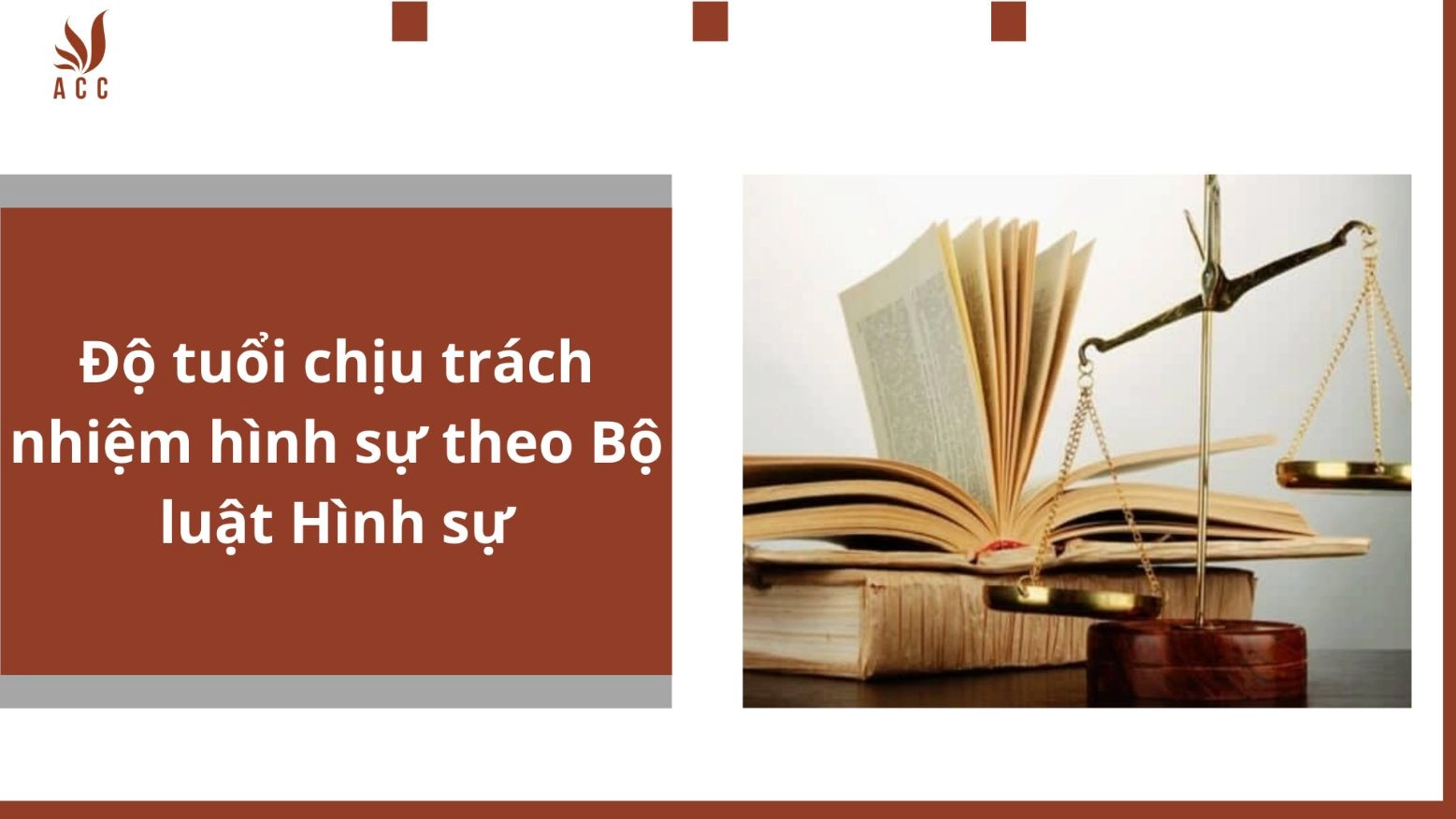 Độ tuổi chịu trách nhiệm hình sự theo Bộ luật Hình sự