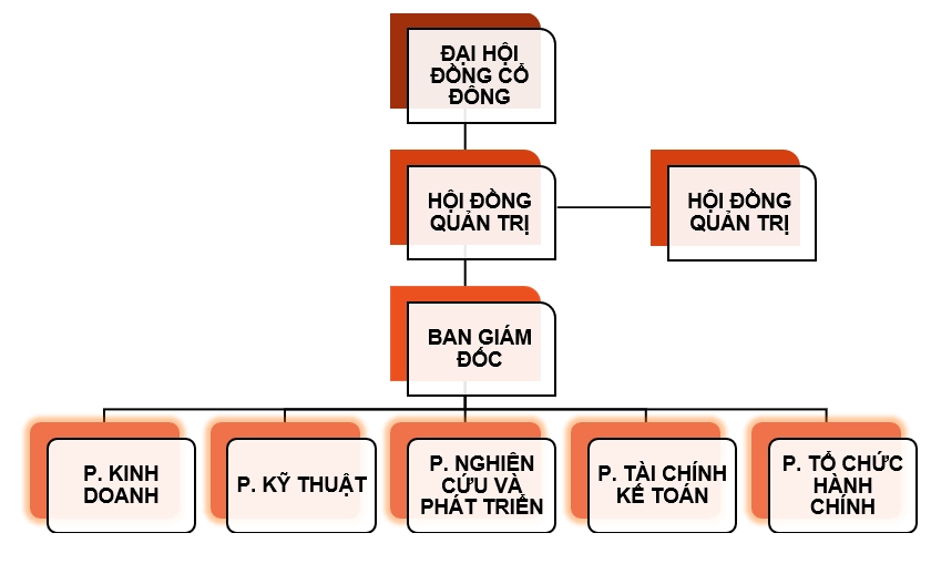 Sơ đồ tổ chức công ty cổ phần năm 2023