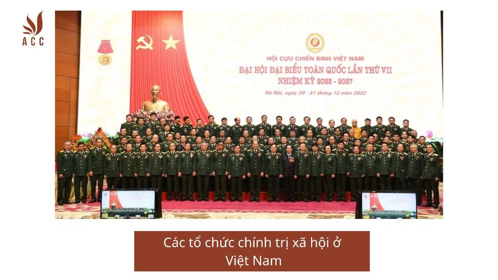 Các tổ chức chính trị xã hội ở Việt Nam