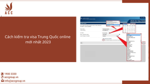 1-2023-11-20t113522675