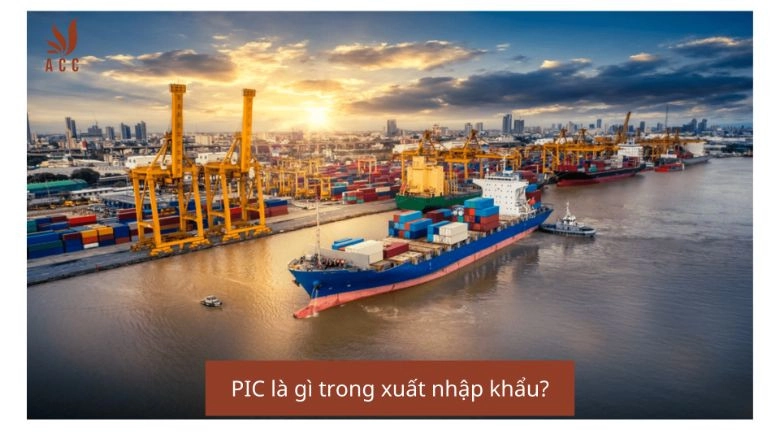 PIC là gì trong xuất nhập khẩu?