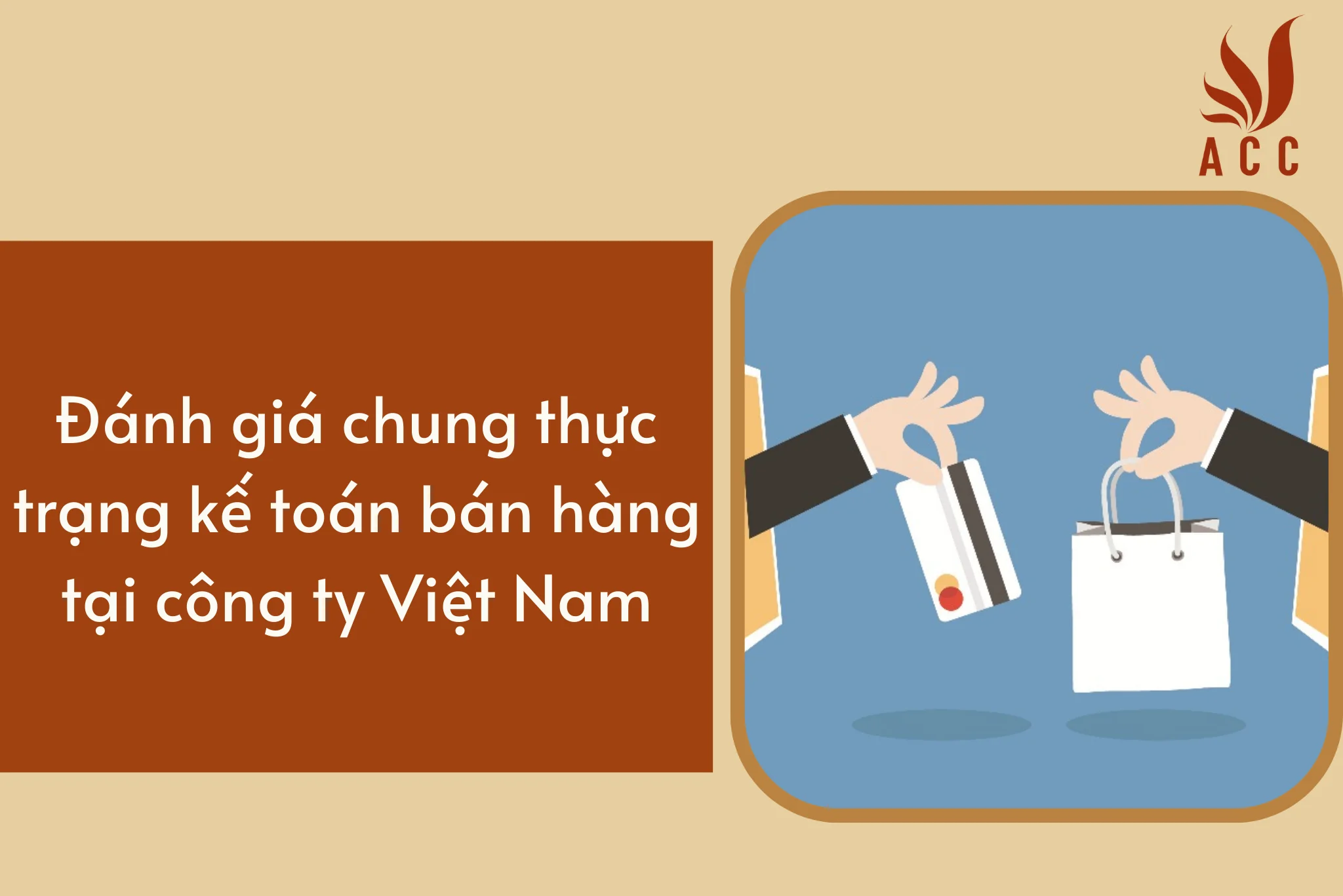 Đánh giá chung thực trạng kế toán bán hàng tại công ty Việt Nam