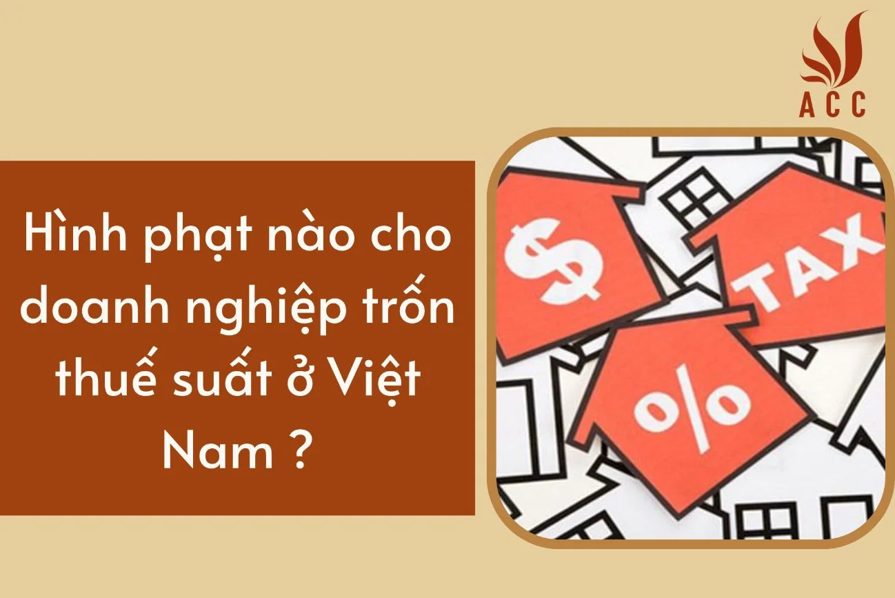 Hình phạt nào cho doanh nghiệp trốn thuế suất ở Việt Nam ?