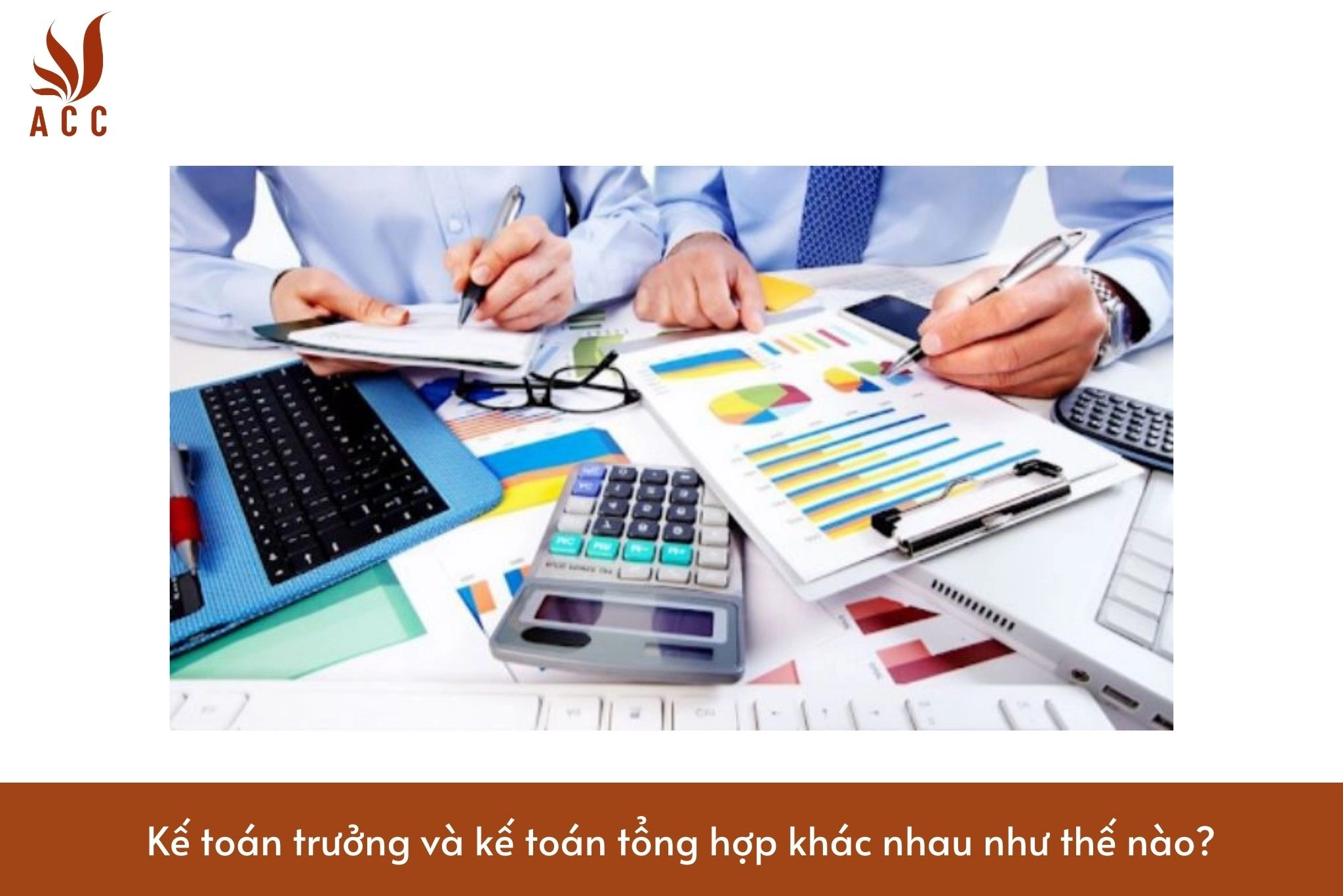 Kế toán trưởng và kế toán tổng hợp khác nhau như thế nào?