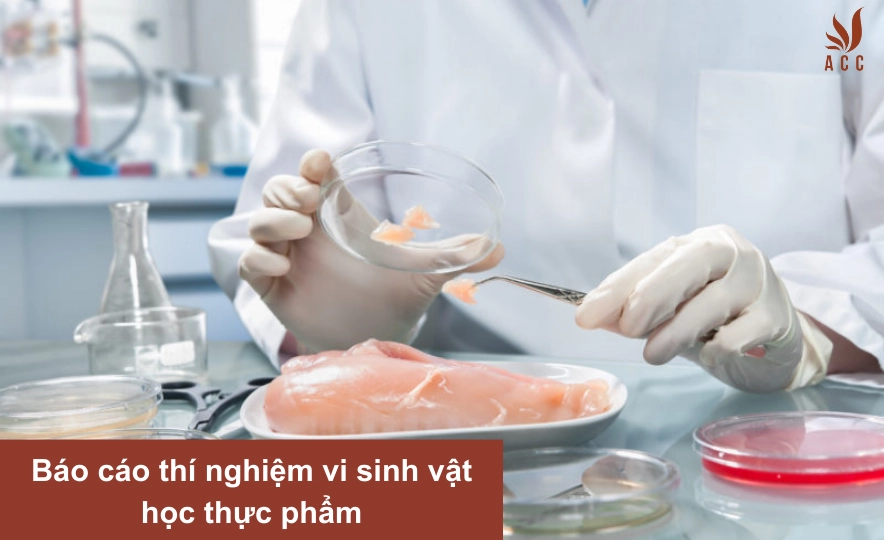 Báo cáo thí nghiệm vi sinh vật học thực phẩm