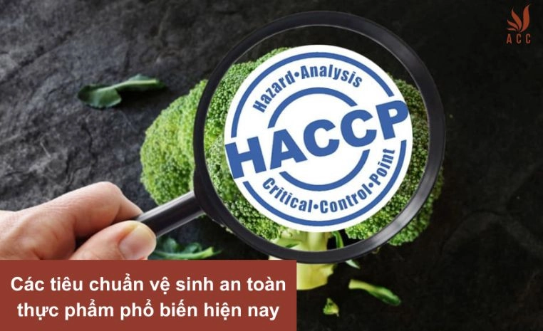 Các tiêu chuẩn vệ sinh an toàn thực phẩm phổ biến hiện nay