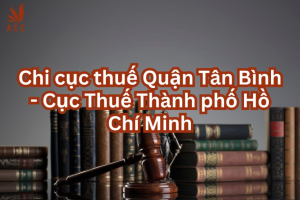 chi-cuc-thue-quan-tan-binh-cuc-thue-thanh-pho-ho-chi-minh