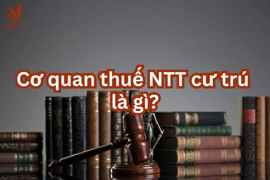 Cơ quan thuế NTT cư trú là gì? Cách xác định cơ quan thuế NTT cư trú