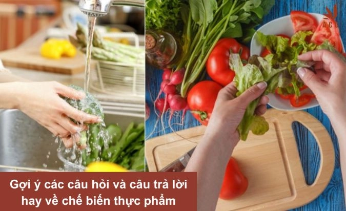 Gợi ý các câu hỏi và câu trả lời hay về chế biến thực phẩm