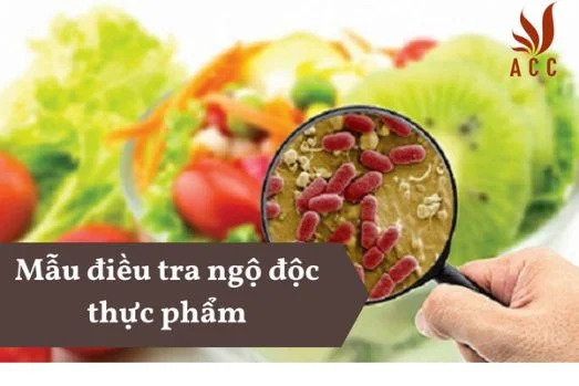 mau-bieu-bao-cao-ve-an-toan-thuc-pham-1-1