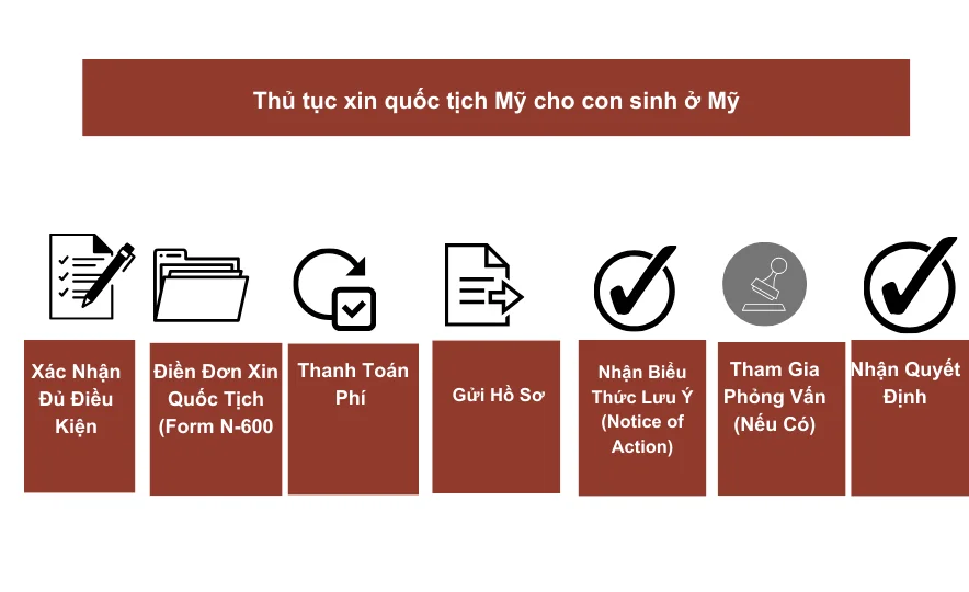 Thủ tục xin quốc tịch Mỹ cho con sinh ở Mỹ