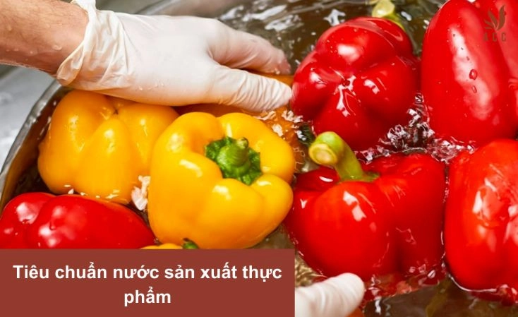 Tiêu chuẩn nước sản xuất thực phẩm