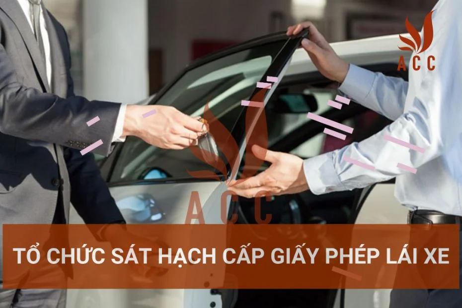 Tổ chức sát hạch cấp giấy phép lái xe