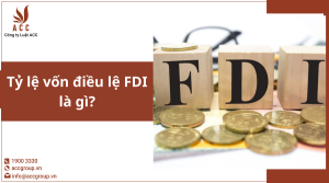 ty-le-von-dieu-le-fdi-la-gi