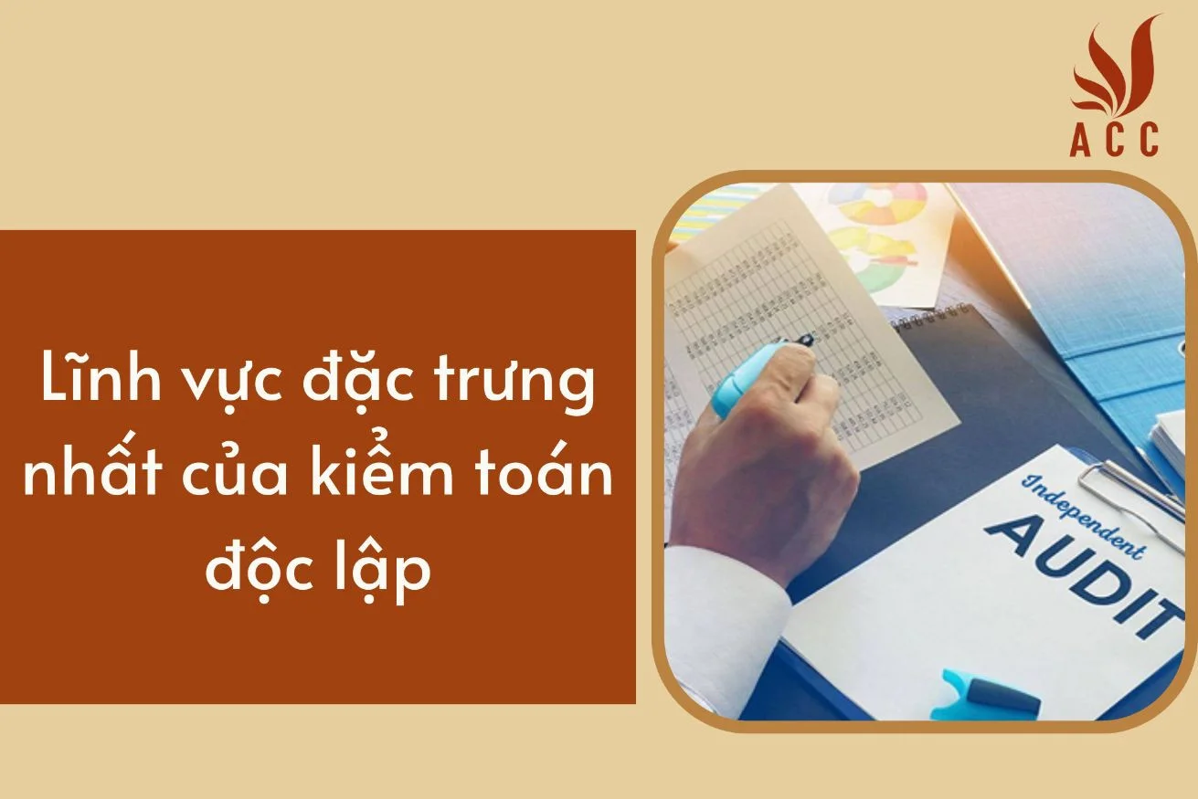 Lĩnh vực đặc trưng nhất của kiểm toán độc lập